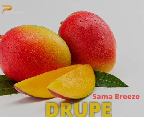 Drupe